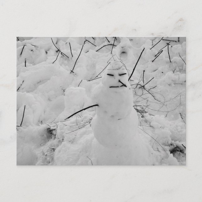 Cartão Postal Cartão-postal de Foto Snowman (Frente)