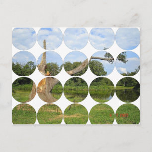 Cartão Postal Cartão-postal de fotografia circular