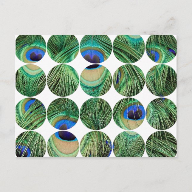 Cartão Postal Cartão-postal de fotografia circular (Frente)