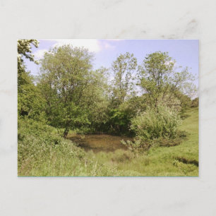 Cartão Postal Cartão-postal de fotografia de Pond oculto