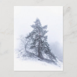 Cartão Postal Cartão-postal de fotos de inverno da árvore cobert