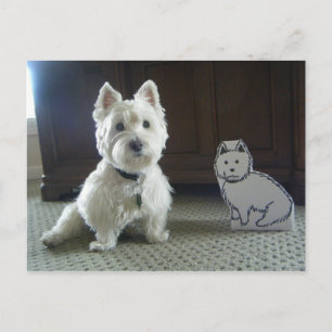 Cartão Postal Cartão-postal de fotos Twin Westies