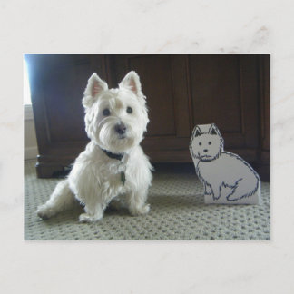 Cartão Postal Cartão-postal de fotos Twin Westies
