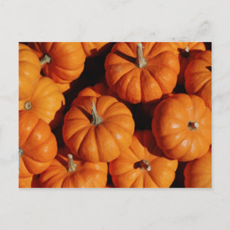 Cartão Postal Cartão-postal de fruta e Comida 17