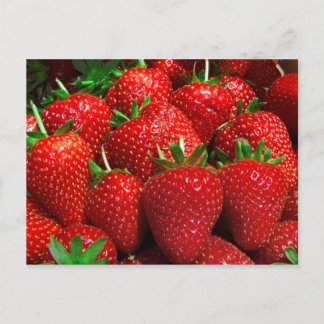 Cartão Postal Cartão-postal de fruta e Comida 3