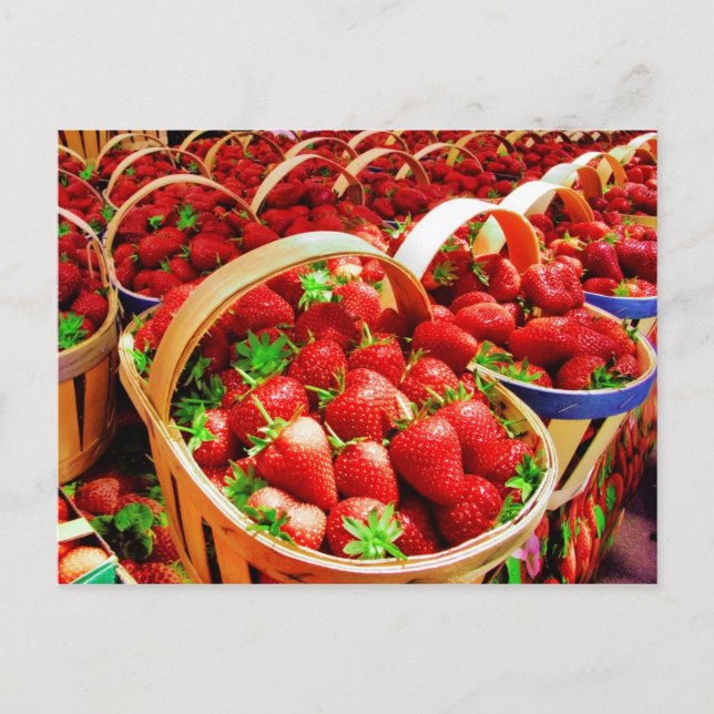 Cartão Postal Cartão-postal de fruta e Comida 4 (Frente)