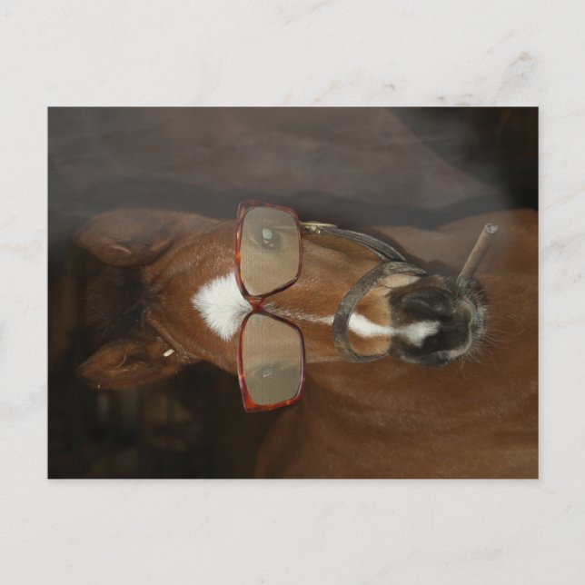 Cartão Postal Cartão-postal de fumante de cavalos humorísticos (Frente)