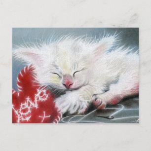 Cartão Postal Cartão-postal de gatinho branco com amor