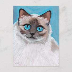 Cartão Postal Cartão-postal de gato azul-vermelho