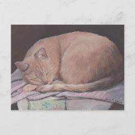 Cartão Postal Cartão-postal de gato-de-gata dormindo