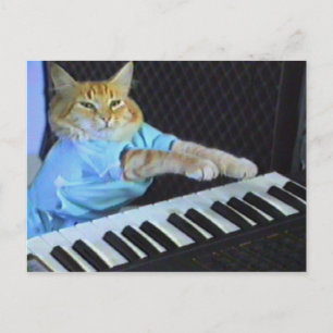Cartão Postal Cartão-postal de gato de teclado!