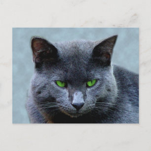 Cartão Postal Cartão-postal de Gato Olhado Verde