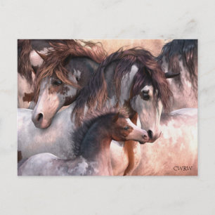 Cartão Postal Cartão-postal de Gerações