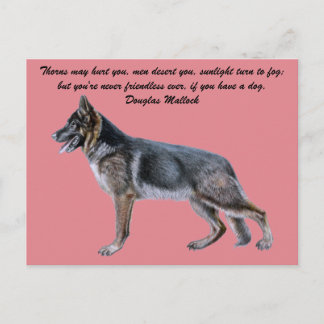 Cartão Postal Cartão-postal de German shepherd bonito com Poem