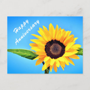 Cartão Postal Cartão-postal de girassol amarelo no céu azul