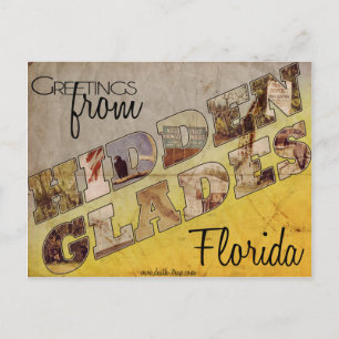 Cartão Postal Cartão-postal de Glades Raros Ocultos