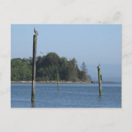 Cartão Postal Cartão-postal de Guarda