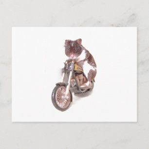 Cartão Postal Cartão-postal de Hamster de Motocicleta