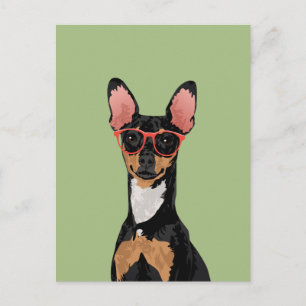 Cartão Postal Cartão-postal de hipster Miniatur Pinscher para C