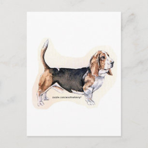 Cartão Postal Cartão-postal de Hound Basset