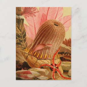 Cartão Postal Cartão-postal de ilustração clássico