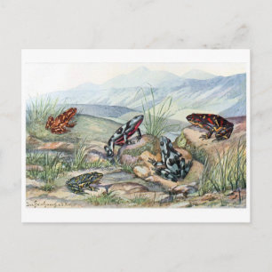 Cartão Postal Cartão-postal de ilustração clássico