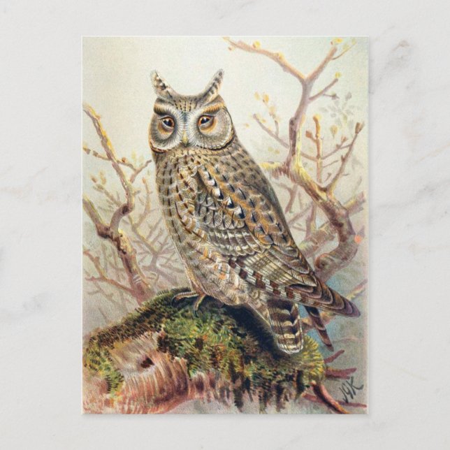 Cartão Postal Cartão-postal de ilustração clássico (Frente)