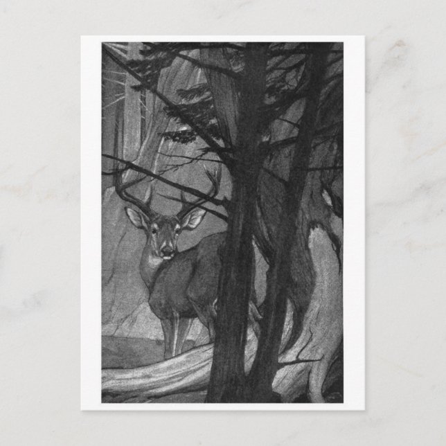 Cartão Postal Cartão-postal de Ilustração Clássico (Frente)