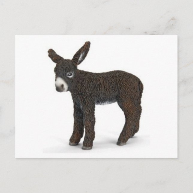 Cartão Postal Cartão-postal de Ilustração Clássico (Frente)