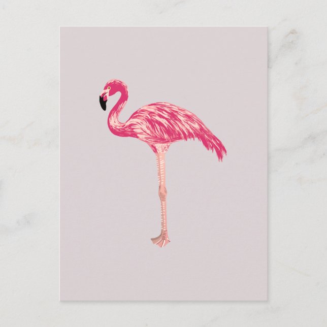 Cartão Postal Cartão-postal de Ilustração de Pássaro Flamingo Ro (Frente)