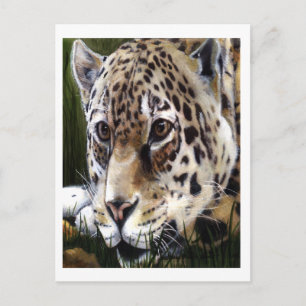 Cartão Postal Cartão-postal de Impressão Cheetah