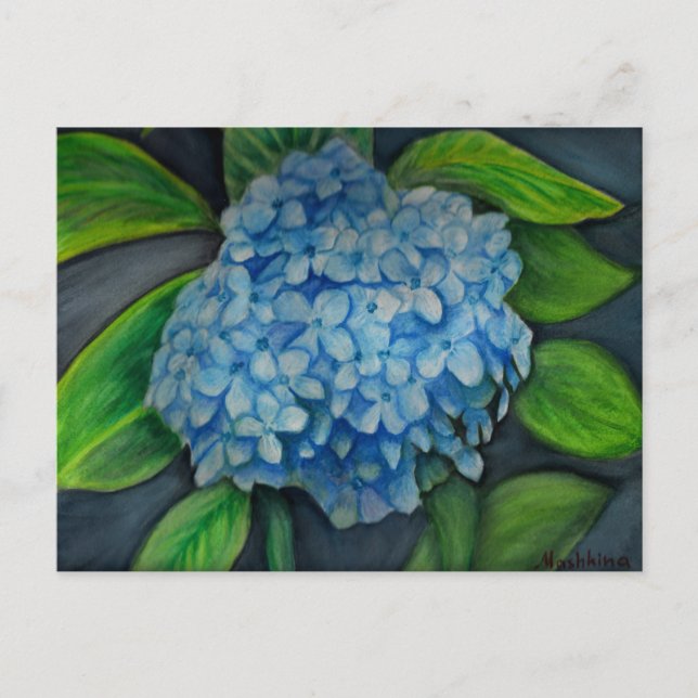 Cartão Postal Cartão-postal de impressão com aquarela Hydrangea (Frente)