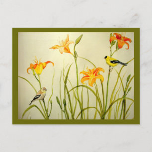 Cartão Postal Cartão-postal de Impressão Goldfinch e Daylillies