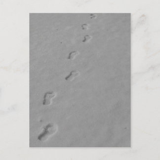 Cartão Postal Cartão-postal de inverno!