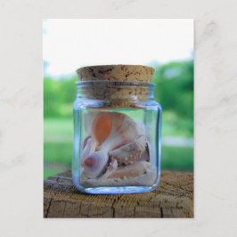 Cartão Postal Cartão-postal de Jar of Sea Shells