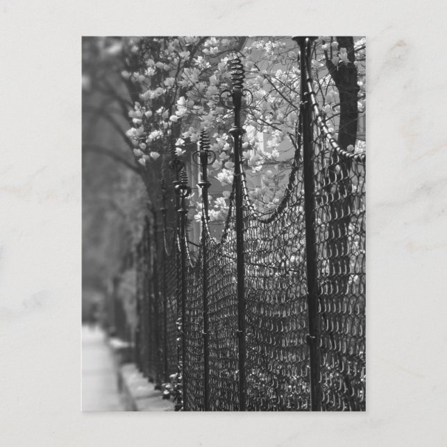 Cartão Postal Cartão-postal de jardim fechado (Frente)