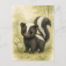 Cartão Postal Cartão-postal de Jovem Skunk Baby Wild