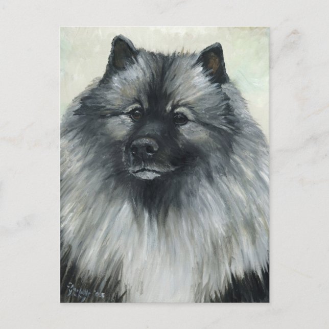 Cartão Postal Cartão-postal de "Keeshond" (Frente)