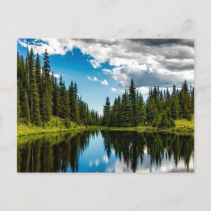 Cartão Postal Cartão-postal de lago e árvore Evergreen