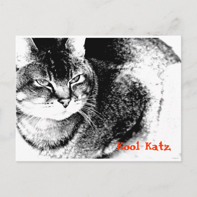 Cartão Postal Cartão-postal de Lembrete de Prática Vetinária Per (Frente)