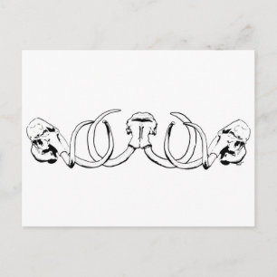 Cartão Postal Cartão-postal de Mammoth Skull