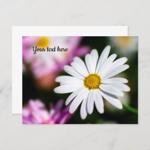 Cartão Postal Cartão-postal de margarida branca solteiro