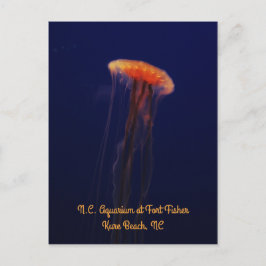 Cartão Postal Cartão-postal de natação bem vertical