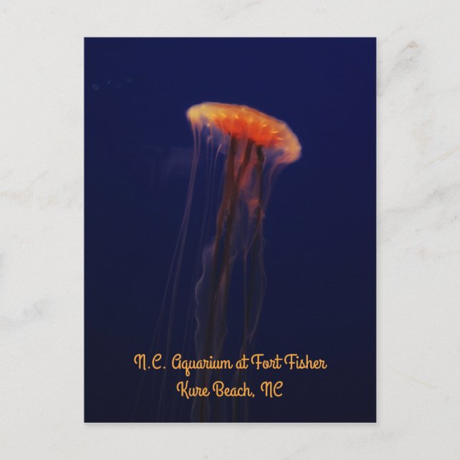 Cartão Postal Cartão-postal de natação bem vertical (Frente)