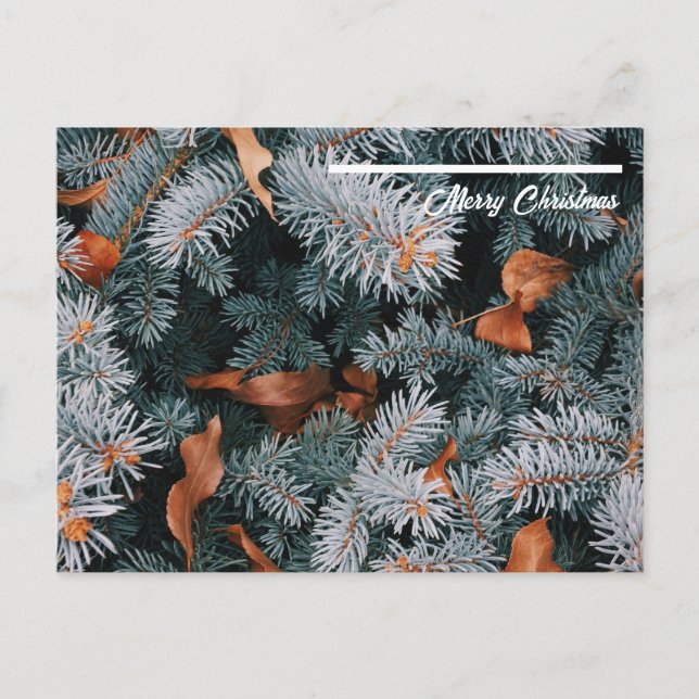 Cartão Postal Cartão-postal de Natal (Frente)