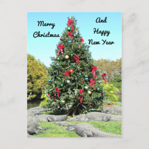 Cartão Postal Cartão-postal de Natal de Alligator