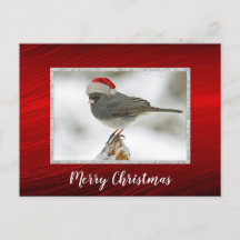 Cartão-postal de Natal para Bonés de Aves