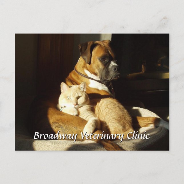 Cartão Postal Cartão-postal de nomeação veterinária para cães e  (Frente)