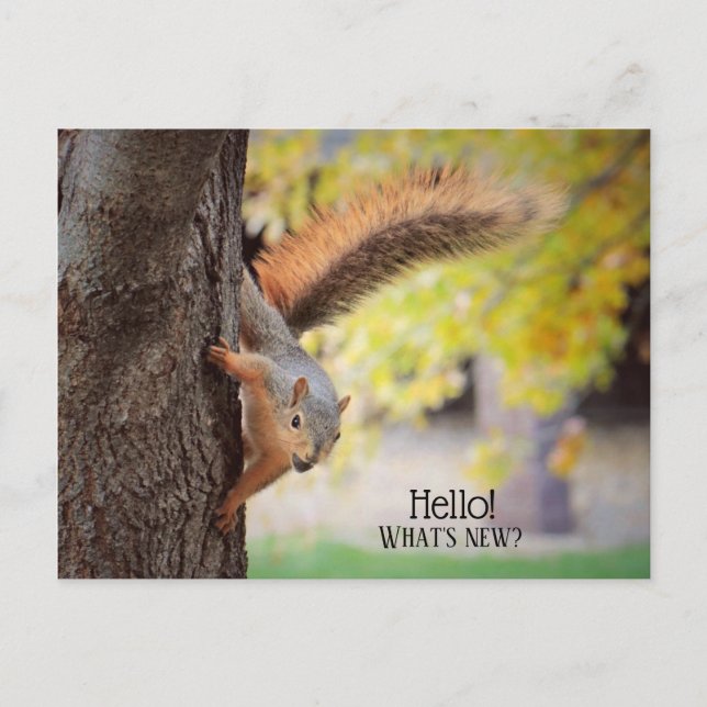 Cartão Postal Cartão-postal de "Olá" (Frente)