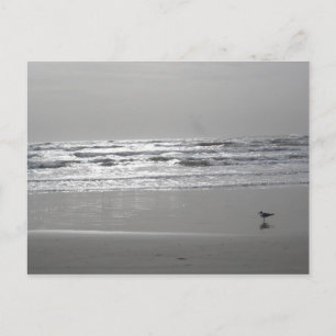 Cartão Postal Cartão-postal de Ondas de Escuta